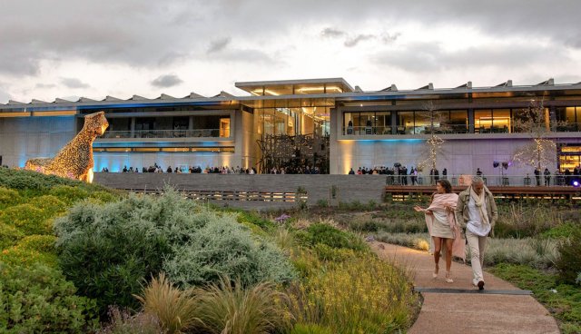 'Cape Town's 7 things to do this weekend - 2025'