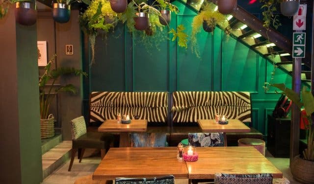 'NEW: A Colourful, Lush And Extravagant Gastropub - 2025'