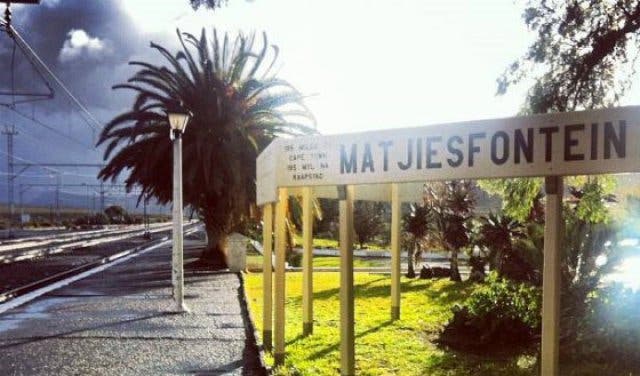 'New Experiences: Unique Day Tours For Exploring The Cape - 2025'