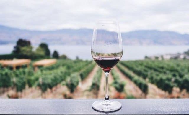 'Why We Love Pinotage, South Africa’s Very Own National Grape - 2025'