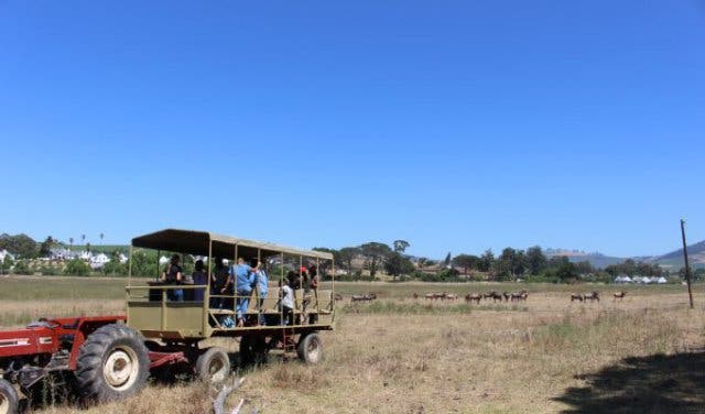 'Looking for Something Cool To Do With The Kids This Weekend? Check Out This Super-Special Stellenbosch Animal Farm - 2025'