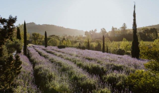 'The ultimate Cape Town bucket list - 2025'