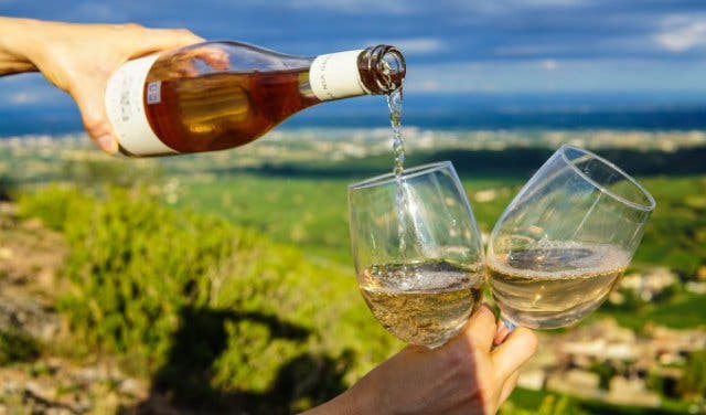 'SA's 90 Best Wines: 15% off Platter's 2019 Guide - 2025'