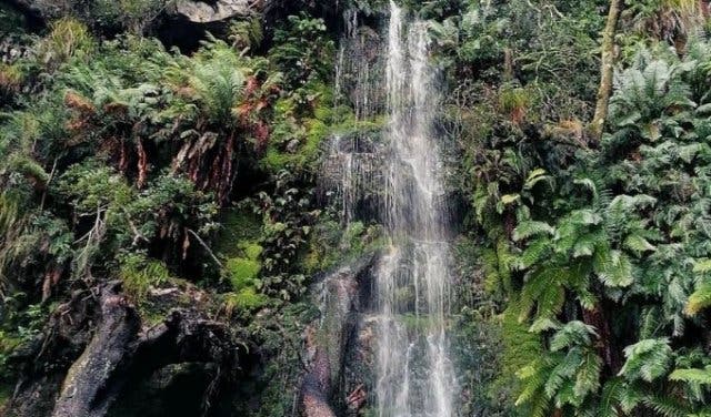 'The ultimate Cape Town bucket list - 2025'