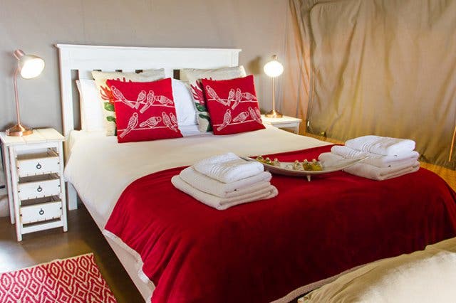 'Thali Thali Safari Lodge and Game Reserve - 2025'