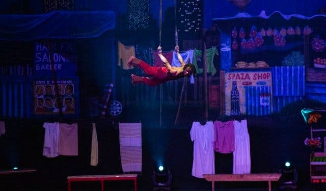 'What’s on at Zip Zap Circus - 2025'