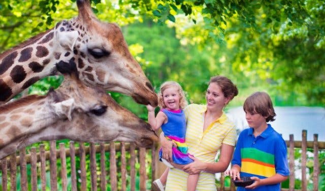 'New Experiences: Unique Day Tours For Exploring The Cape - 2025'
